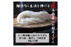 いなにわうどん 90g つゆ付き(1食)×5個【(一社)湯沢市観光物産協会】[J7502]