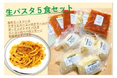 おうちで生パスタ＆ソース(冷凍)５食セット【イルサロ】[B2-14401]