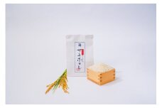 【希少品種】【特別栽培米】秋田県産サキホコレ 精米 10kg 【(株)鈴木又五郎商店】[N32-2301]