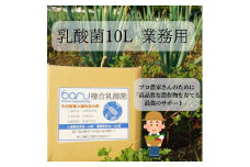 環境に優しい農業用乳酸菌 BARU乳酸菌液 10L 業務用【BARU バイオジャパン吉村株式会社】[H9904]