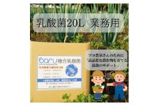 環境に優しい農業用乳酸菌 BARU乳酸菌液 20L 業務用【BARU バイオジャパン吉村株式会社】[N9901]