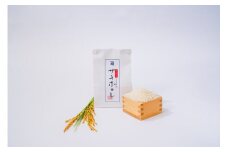 【希少品種】【特別栽培米】秋田県産サキホコレ 精米 選べる 1kg ～ 10kg【1kg】【鈴木又五郎商店】[J1-2301]