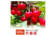 ＼朝採れ 産地直送／ R7年度産 三関産 さくらんぼ 佐藤錦 秀2L以上 500g(250g×2)市場価値の高い 三関産 さくらんぼ こだわりの【常温】でお届け 家庭用 フルーツ 果物 お取り寄せ 秋田 湯沢市 期間限定 サクランボ【奥山果樹園】[B5-15801]