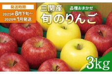 三関旬のりんご 秀品 3kg （8玉～12玉） 満杯詰め 三関産 旬 りんご 品種お任せ 果物 フルーツ 秋田県 三関 【三関果樹研究会】[L15101]