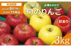 三関産 旬のりんご 家庭用 3kg （8玉～12玉） 旬 りんご 品種お任せ 果物 フルーツ 秋田県 三関 【三関果樹研究会】[J15101]