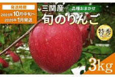 三関産 旬のりんご プレミアム 特秀 3kg （8玉～12玉） 旬 りんご 品種お任せ 果物 フルーツ 秋田県 三関 【三関果樹研究会】[B15109]