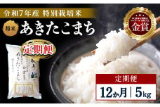 【定期便12ヶ月】【令和7年産】特別栽培米 あきたこまち 精米 5kg【渡部 浩見】[F2121]