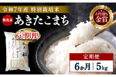 【定期便6ヶ月】【令和7年産】特別栽培米 あきたこまち 無洗米 5kg【渡部 浩見】[F2125]