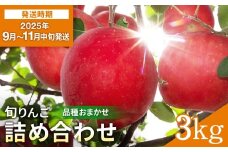 ＼出荷中／ 厳選 旬 りんご 詰め合わせ 3kg 秀品 早生 品種お任せ さんさ こうりん シナノスイート シナノゴールド トキ アキタゴールド 秋田紅あかり の中から 濃厚 で ジューシー な 美味しい 林檎 をお届け【藤山果樹園】[L2801]