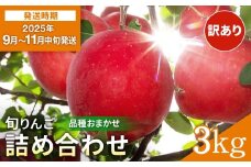 ＼出荷中／ 訳あり りんご 早生 品種おまかせ 家庭用 3kg さんさ こうりん シナノスイート シナノゴールド トキ アキタゴールド 秋田紅あかり の中から 濃厚 で ジューシー な 美味しい 林檎 をお届け【藤山果樹園】[J5-2801]