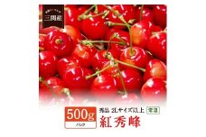 令和8年産 先行予約 数量限定！「常温」紅秀峰 500g 秀2Lサイズ以上 さくらんぼ 果物 フルーツ 秋田県  湯沢市 三関【田村果樹園】[H10803]