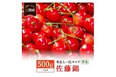 令和8年産 先行予約 数量限定！「常温」佐藤錦 500g 秀L～2Lサイズ さくらんぼ 果物 フルーツ 秋田県  湯沢市 三関【田村果樹園】[H10801]