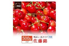 令和8年産 先行予約 数量限定！「冷蔵」佐藤錦 500g 秀L～2Lサイズ さくらんぼ 果物 フルーツ 秋田県  湯沢市 三関【田村果樹園】[H10802]
