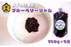 無添加 低糖 ブルーベリージャム 150g × 5個セット【かづの精果園】 ブルーベリー 砂糖不使用 無添加 低糖 ジャム 安心 安全 自然派 ギフト 秋田県 秋田 あきた 鹿角市 鹿角 かづの 小分け パウチ 