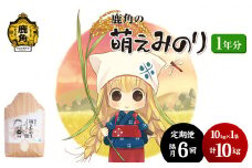 【定期便】令和6年産 特別栽培米「萌えみのり」1年分 合計 60kg（10kg × 6回隔月発送）乾式無洗米【安保金太郎商店】 無洗米 米 白米 精米 お米 国産 グルメ お米マイスター ギフト 高品質 厳選 秋田県産 鹿角市産 秋田県 秋田 あきた 鹿角市 鹿角 かづの 産地直送