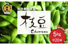 秋田県鹿角産 特別栽培 枝豆 約 5kg（250g×20袋）●2025年8月中旬発送開始【用野目ファーム】福だるま 湯あがり娘 あきた香り五葉 あきたほのか 秘伝 特別栽培 お中元 グルメ ギフト 故郷 秋田 あきた 鹿角市 鹿角 えだまめ エダマメ 豆 送料無料 