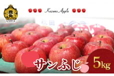 《 先行予約 》鹿角りんご「サンふじ」 5kg（14～18玉前後）【佐藤秀果園】●2025年12月上旬発送開始 リンゴ 林檎 贈答用 果汁 完熟 旬 県産りんご お中元 お歳暮 贈り物 お見舞い グルメ ギフト 故郷 秋田 あきた 鹿角市 鹿角 送料無料 
