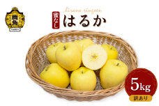 【訳あり】秋田県鹿角産りんご 蜜なし「はるか」約5kg（16～18玉入）【平野りんご園】 りんご 林檎 リンゴ 蜜なし 家庭用 秋田県 秋田 あきた 鹿角市 鹿角 かづの 5KG 5㎏ 