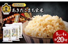 令和6年産 特別栽培米「花輪ばやし（あきたこまち）」玄米 20kg（5kg×4袋）【安保金太郎商店】 米 お米 国産 グルメ お米マイスター ギフト 高品質 厳選 秋田県産 鹿角市産 秋田県 秋田 あきた 鹿角市 鹿角 かづの 産地直送