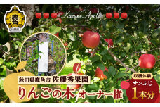 《 令和7年度 》秋田県 鹿角市 りんごの木 オーナー権 1本分（ 収穫量20kg保証 ）【佐藤秀果園】 収穫体験 りんご狩り オーナー制度 チケット 農林水産大臣賞 ふじ リンゴ 完熟 蜜入り 旬 県産りんご 秋田 あきた 鹿角 送料無料 