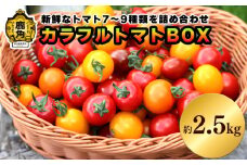 《先行予約》 秋田県鹿角産 カラフルトマトBOX 約2.5kg【早川農園】●2025年8月下旬発送開始  新鮮 野菜 安全 ミニトマト 大玉 中耳玉 詰め合わせ お中元 お歳暮 お取り寄せ 母の日 父の日 グルメ ギフト 故郷 秋田 あきた 鹿角市 鹿角 送料無料