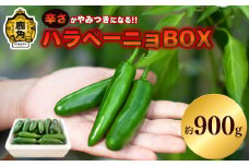 秋田県鹿角産 ハラペーニョBOX 約900g【早川農園】●2025年7月下旬発送開始  新鮮 旬 野菜 安全 青唐辛子 薬味 お中元 お歳暮 お取り寄せ 母の日 父の日 グルメ ギフト 故郷 秋田 あきた 鹿角市 鹿角 送料無料 