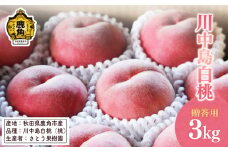 桃 川中島白桃 3kg ( 9～10玉入 ) 【さとう果樹園】●2025年8月下旬発送開始 もも モモ 白桃 川中 完熟 旬 お見舞い 内祝い おすそ分け 完熟 国産桃 お中元 お歳暮 母の日 父の日 贈り物 贈答用 グルメ ギフト 故郷 秋田 あきた 鹿角市 鹿角 送料無料 