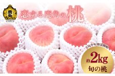 恋する鹿角の桃 旬の桃 約2kg ●2025年8月中旬発送開始【恋する鹿角カンパニー】桃 もも モモ 内祝い 完熟 桃 国産桃 贈り物 贈答用 グルメ 秋田 あきた 鹿角市 鹿角 白桃 送料無料 