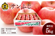 《 先行予約 》秋田県鹿角産りんご「サンふじ」贈答用 5kg（20玉前後）【さとう果樹園】●2025年12月上旬発送開始 甘い 食感 果汁 リンゴ 完熟 旬 県産りんご お中元 お歳暮 グルメ ギフト 故郷 秋田 あきた 鹿角市 鹿角 送料無料 