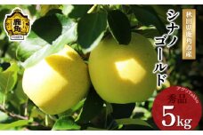 《 先行予約 》 秋田県鹿角産りんご「シナノゴールド」秀品 約5kg ●2025年10月下旬発送開始 シナノ ゴールド 数量限定 リンゴ 完熟 旬 県産りんご お中元 お歳暮 グルメ ギフト 故郷 秋田 あきた 鹿角市 鹿角 送料無料 【アグリTakko】