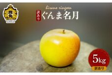 秋田県鹿角産 りんご 訳あり 「 ぐんま名月 」 約5kg（18～20玉）【平野りんご園】 食感 果汁 林檎 完熟 蜜入り 旬 県産りんご お中元 お歳暮 贈り物 お見舞い グルメ ギフト 故郷 秋田 あきた 鹿角市 鹿角 送料無料