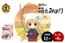 【定期便】令和6年産 特別栽培米「萌えみのり」乾式無洗米 6kg × 12ヶ月 毎月配送【安保金太郎商店】