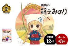 【定期便】令和6年産 特別栽培米「萌えみのり」乾式無洗米 3kg × 12ヶ月 毎月配送【安保金太郎商店】