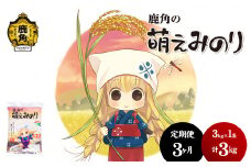 【定期便】令和6年産 特別栽培米「萌えみのり」乾式無洗米 3kg × 3ヶ月 毎月配送【安保金太郎商店】