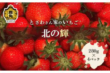 完熟 いちご「北の輝（きたのかがやき）」280g×4パック【とざわさん家のいちご】●2025年5月末発送開始 県産いちご 国産いちご お中元 お歳暮 母の日 父の日 贈り物 贈答用 ホワイトデー グルメ ギフト 故郷 秋田 あきた 鹿角市 鹿角 送料無料 