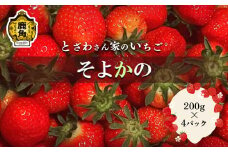 完熟いちご「そよかの」200g×4パック【とざわさん家のいちご】●2025年6月中旬発送開始 おすそ分け 県産いちご 国産いちご お中元 お歳暮 母の日 父の日 贈り物 贈答用 ホワイトデー お盆 グルメ ギフト 故郷 秋田 あきた 鹿角市 鹿角 送料無料 