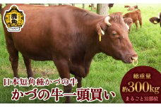 日本短角種 かづの牛 1頭買い【秋田県畜産農業協同組合】 GI産品 かづの牛 牛 日本 短角 短角牛 牛肉 ヘルシー 低カロリー 県産牛 国産牛 お中元 お歳暮 お取り寄せ グルメ ギフト 故郷 ふるさと 秋田県 秋田 あきた 鹿角市 鹿角 かづの