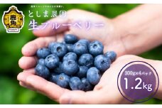 生ブルーベリー 良品 1.2kg（300g × 4パック）●2025年7月中旬発送【としま農園】 旬 県産ブルーベリー 小分け お中元 お歳暮 お取り寄せ 母の日 父の日 グルメ ギフト 故郷 秋田 あきた 鹿角市 鹿角 送料無料