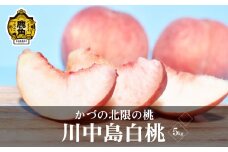 《先行予約》果汁たっぷり かづの北限の桃「川中島白桃」約5kg（15玉前後入り）●2025年9月上旬発送開始【佐藤秀果園】 桃 もも モモ お盆 お見舞い 内祝い 完熟 国産桃 お中元 お歳暮 母の日 父の日 贈り物 贈答用 グルメ ギフト 故郷 秋田 あきた 鹿角市 鹿角 送料無料 