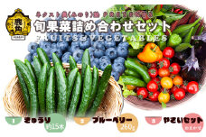 令和7年産 ネクスト農（みのり）塾 PRESENTS 旬果菜詰め合わせセット「きゅうり／生ブルーベリー／旬の野菜」【優作ファーム】●2025年7月中旬発送開始 野菜 旬 果物 くだもの フルーツ 食べ比べ セット 詰め合わせ 贅沢 特産 国産 鹿角産 秋田県 秋田 あきた 鹿角市 鹿角 かづの ギフト プレゼント