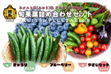 《 先行予約 》令和8年産 ネクスト農（みのり）塾 PRESENTS 旬果菜詰め合わせセット「きゅうり／生ブルーベリー／旬の野菜」【優作ファーム】●2026年7月中旬発送開始 野菜 旬 果物 くだもの フルーツ 食べ比べ セット 詰め合わせ 贅沢 特産 国産 鹿角産 秋田県 秋田 あきた 鹿角市 鹿角 かづの ギフト プレゼント
