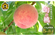秋田県鹿角産 旬の桃 5～8玉 2.5kg箱使用（あかつき／まどか／川中島白桃／さくら／玉うさぎ／白根白桃）※1品種 ●2025年8月中旬発送開始【瀬田石農園】桃 グルメ お取り寄せ 人気 ランキング お中元 お歳暮 ギフト 故郷 秋田 あきた 鹿角市 鹿角 送料無料 