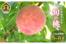 秋田県鹿角産 旬の桃 5～8玉 2.5kg箱使用（あかつき／まどか／川中島白桃／さくら／玉うさぎ／白根白桃）※1品種 ●2025年8月中旬発送開始【瀬田石農園】桃 グルメ お取り寄せ 人気 ランキング お中元 お歳暮 ギフト 故郷 秋田 あきた 鹿角市 鹿角 送料無料 