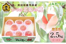 《 先行予約 》 JA 桃 かづの北限の桃 約 2.5kg ( 6～8玉 ) 【JAかづの】●2025年9月上旬発送開始 贈答用 桃 光センサー もも モモ 甘い 果物 フルーツ くだもの グルメ お取り寄せ 人気 ランキング お中元 お歳暮 ギフト 故郷 秋田 あきた 鹿角市 鹿角 送料無料 