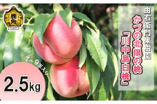 《先行予約》かづの北限の桃「川中島白桃」約2.5kg（7～9玉）●2025年9月上旬発送開始【由右衛門果樹園】桃 もも モモ お盆 お見舞い 内祝い おすそ分け 完熟 国産桃 お中元 お歳暮 グルメ ギフト 故郷 秋田 あきた 鹿角市 鹿角 送料無料
