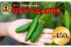 秋田県鹿角産 ハラペーニョBOX 約450g【早川農園】●2025年7月下旬発送開始 新鮮 旬 野菜 安全 青唐辛子 薬味 お中元 お歳暮 お取り寄せ 母の日 父の日 グルメ ギフト 故郷 秋田 あきた 鹿角市 鹿角 送料無料 