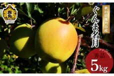 《 先行予約 》秋田県鹿角産りんご「ぐんま名月」秀品 約5kg ●2025年11月中旬発送開始 ぐんま 名月 数量限定 リンゴ 完熟 旬 県産りんご お中元 お歳暮 グルメ ギフト 故郷 秋田 あきた 鹿角市 鹿角 送料無料【アグリTakko】