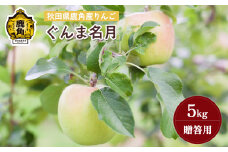 《先行予約》秋田県鹿角産りんご 雪国育ちの 贈答用「ぐんま名月」5kg（20～23玉入）【山麓園】●2025年10月下旬発送開始 秋田県 鹿角産 りんご 食感 果汁 リンゴ 完熟 旬 県産 りんご 林檎 お中元 お歳暮 贈り物 グルメ ギフト 故郷 秋田 あきた 鹿角市 鹿角 蜜 送料無料 