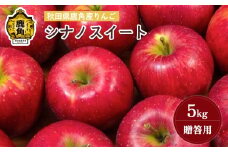 《 先行予約 》りんご 贈答用 シナノスイート 5kg ( 20～23玉 )  【山麓園】●2025年10月下旬発送開始 秋田県鹿角産 食感 果汁 リンゴ 完熟 旬 県産 りんご お中元 お歳暮 贈り物 グルメ ギフト 故郷 秋田 あきた 鹿角市 鹿角 送料無料