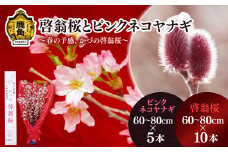 《 先行予約 》啓翁桜とピンクネコヤナギセット（60～80cm×10本／60～80cm×5本）【さとう農園】●2025年12月下旬発送開始 生花 花 インテリア 結婚 卒園 卒業 プレゼント お土産 母の日 グルメ ギフト 故郷 秋田 あきた 鹿角市 鹿角 送料無料 
